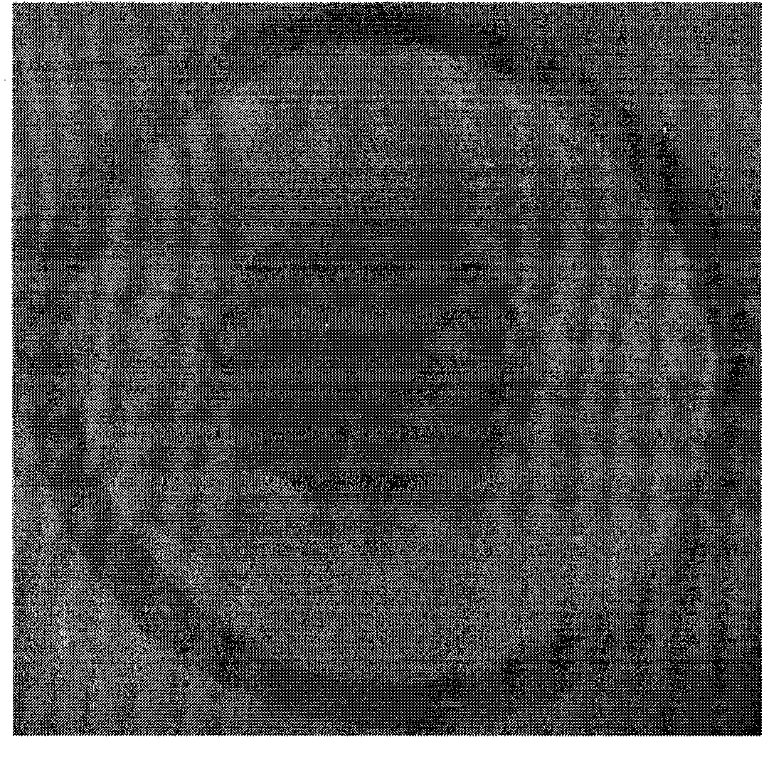 Compositions and preparation method of extra-large mode area metaphosphate optical fiber