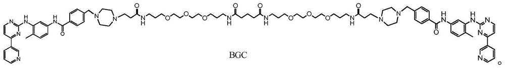 Bcr-Abl amphiploid inhibitor and preparation method and application thereof