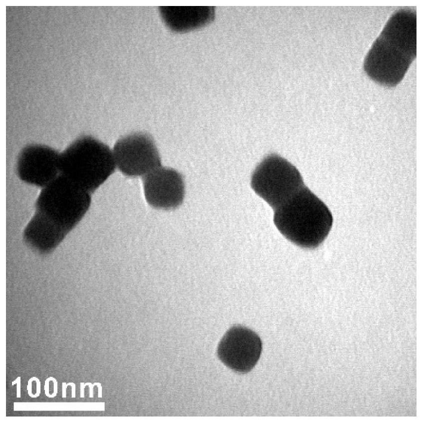 A cancer cell membrane-wrapped zinc glutamate-wrapped Prussian blue nanoparticle loaded with triphenylphosphine-lonidamine and its preparation method