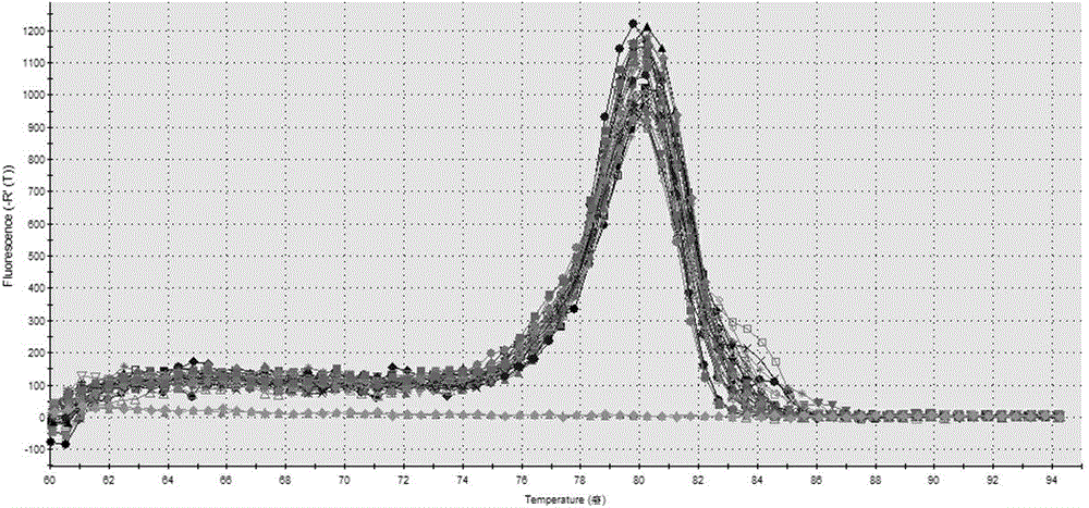 miRNA detection kit for lung cancer and application of miRNA