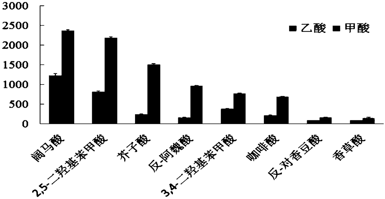 Method for separating or analyzing phenolic acid compound from burdock