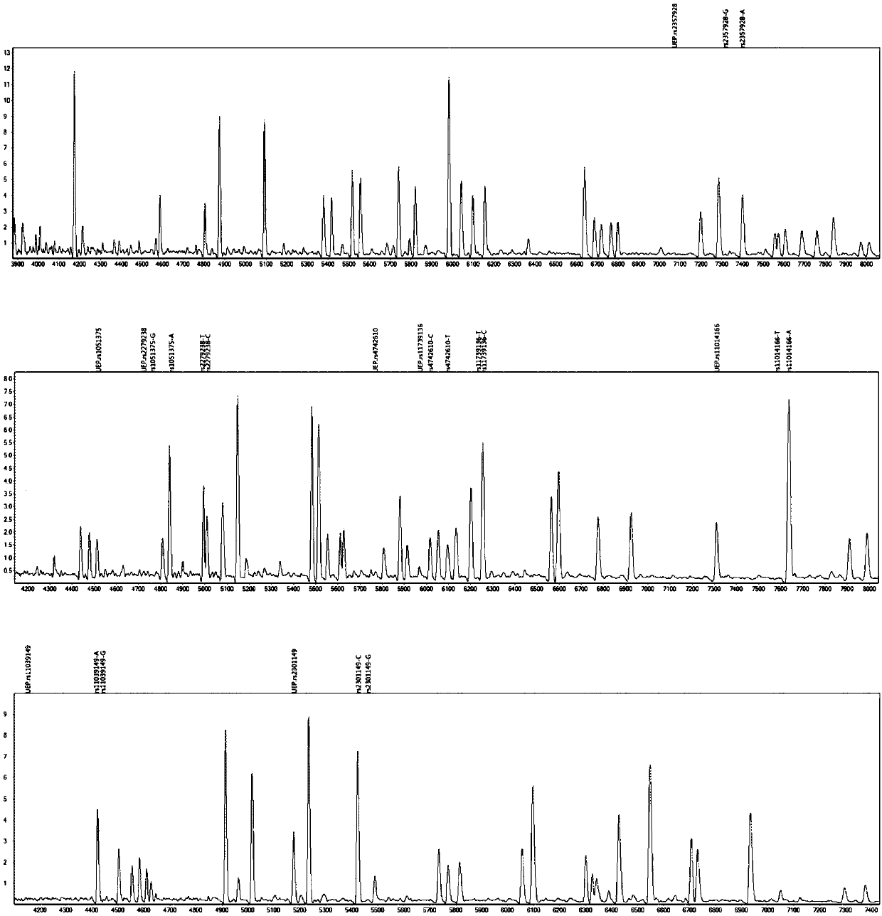 Gene detection kit for guiding administration of antihypertensive drug verapamil