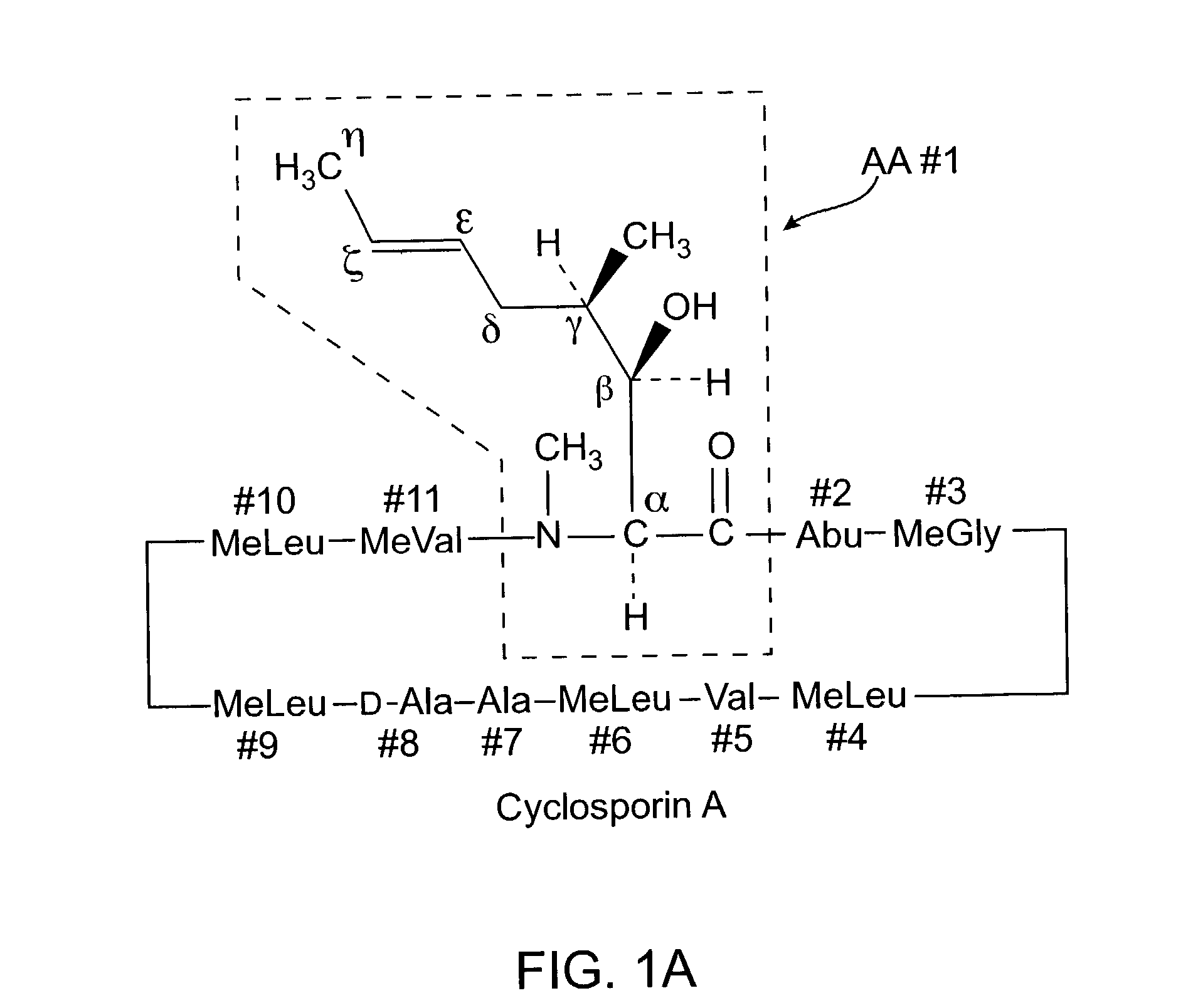 Cyclosporine analogue mixtures and their use as immunomodulating agents