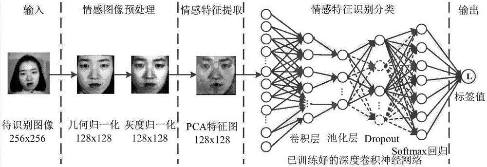 Facial emotion recognition method based on deep sparse convolutional neural network