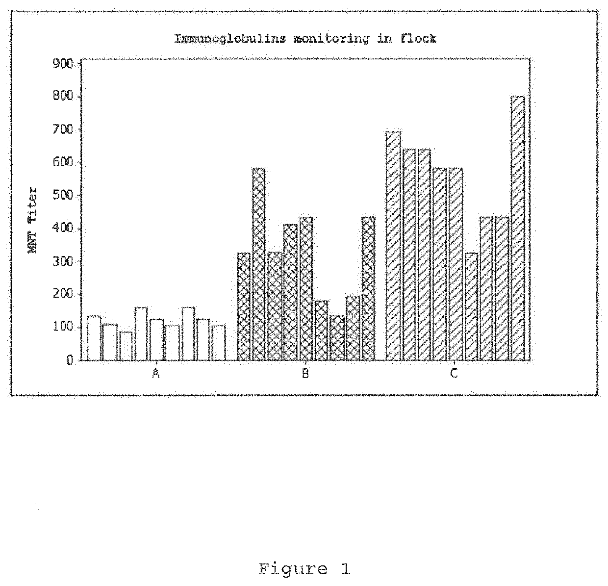 Emulsified vaccine to obtain formulations of concentrated IgY immunoglobulins; processes and uses for the same