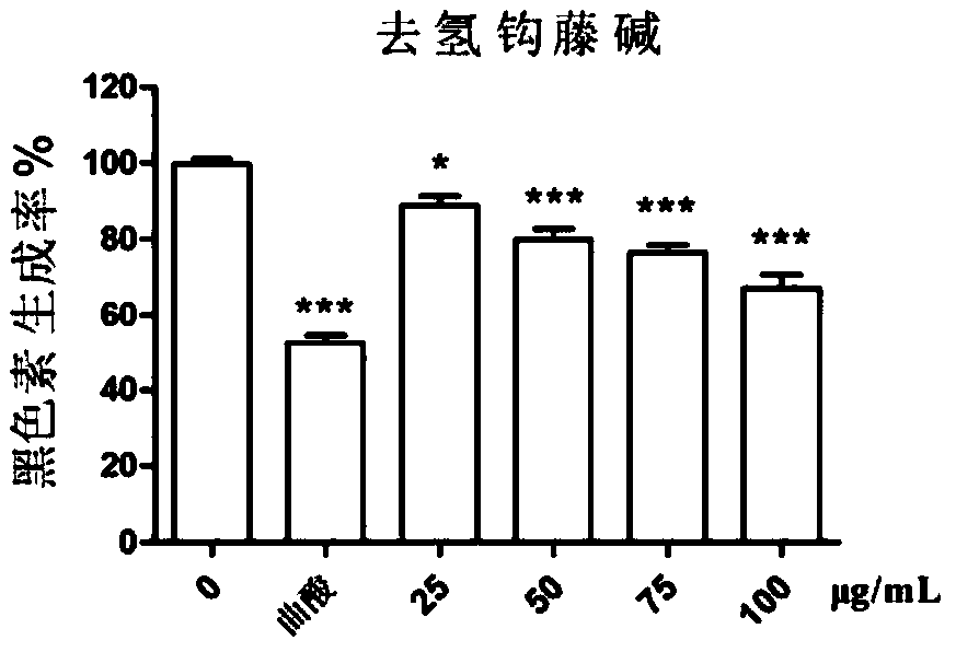 Composition containing corynoxeine and skin care application of composition