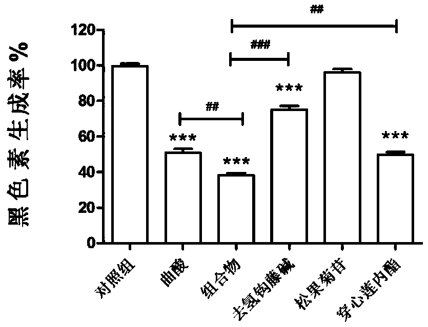 Composition containing corynoxeine and skin care application of composition