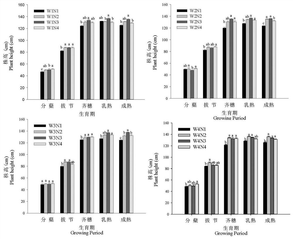 Rice water and fertilizer utilization and evaluation method and rice growth development and soil nutrient regulation and control method