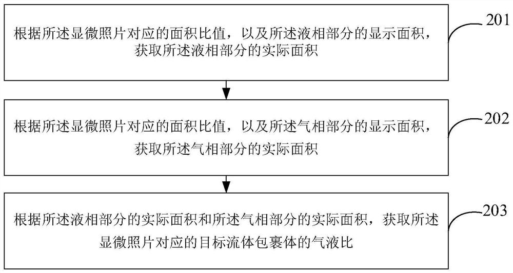 Method and device for acquiring gas-liquid ratio of fluid inclusion