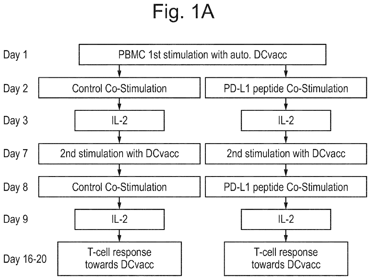 Pdl1 peptides for use in cancer vaccines