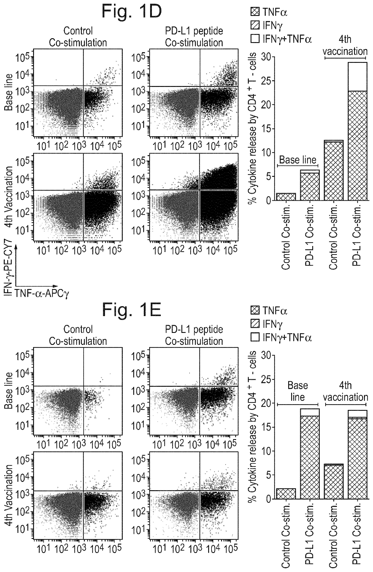 Pdl1 peptides for use in cancer vaccines