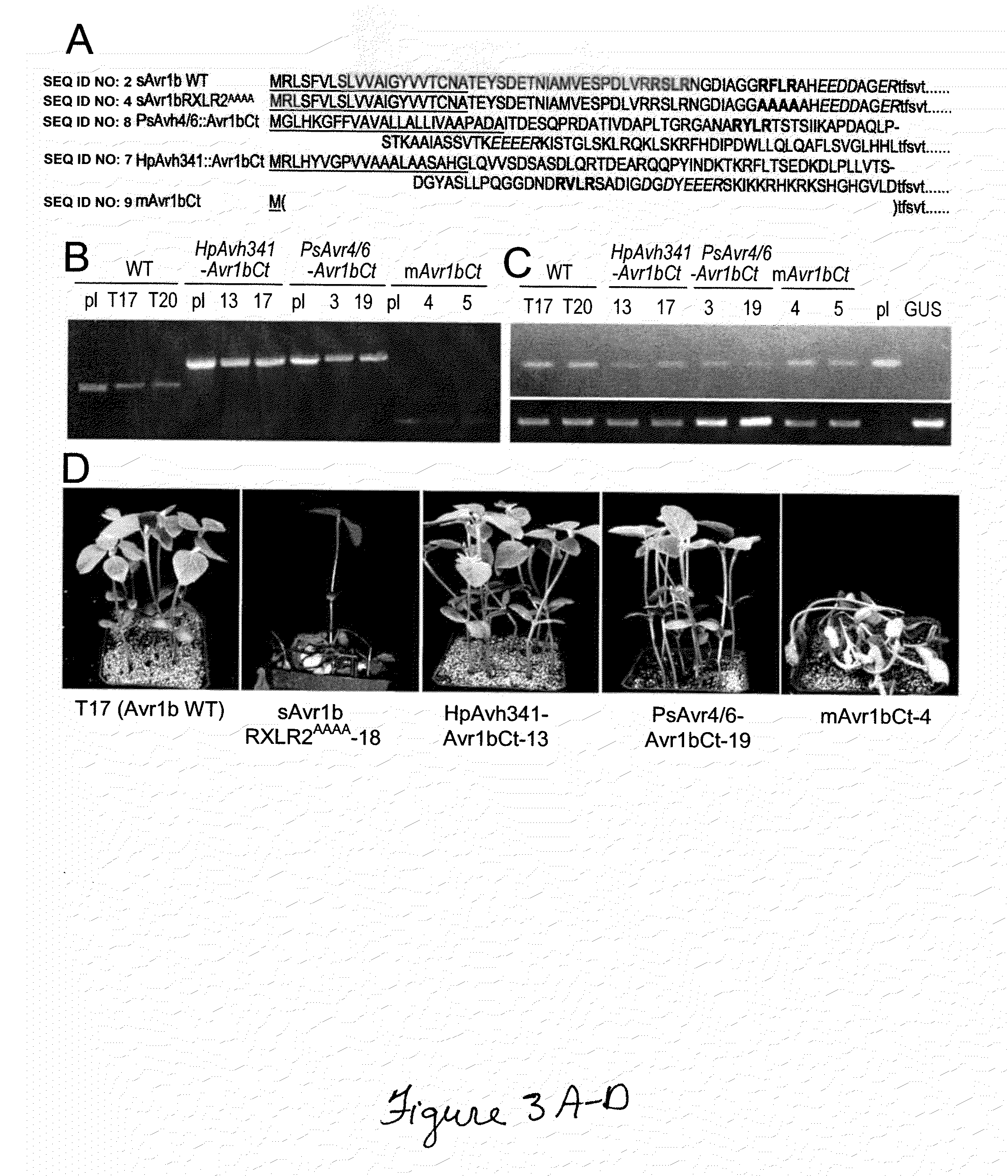 Compositions and methods to protect cells by blocking entry of pathogen proteins