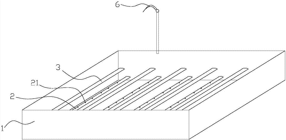 Processing method and device for decoction pieces of dried roots of Changium smyrnioides Wolff