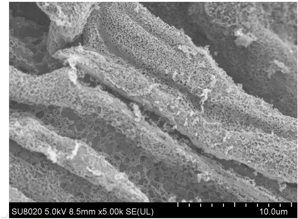 Method for preparing biomass activated carbon through vacuum freeze drying