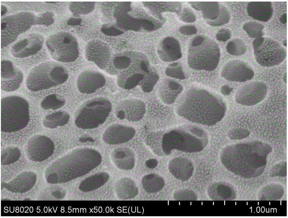 Method for preparing biomass activated carbon through vacuum freeze drying