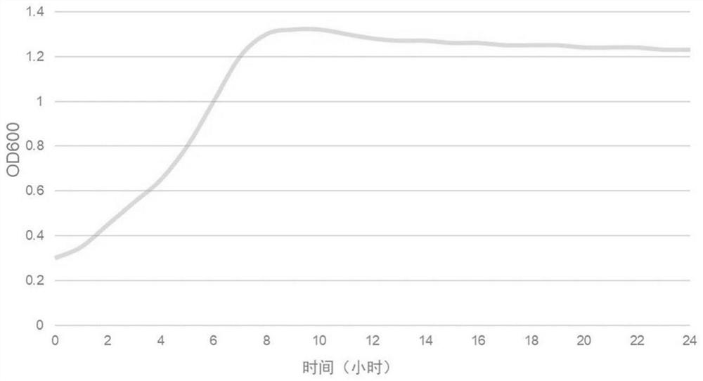 A kind of Lactobacillus helveticus bacterial strain with effect of improving depression and application thereof