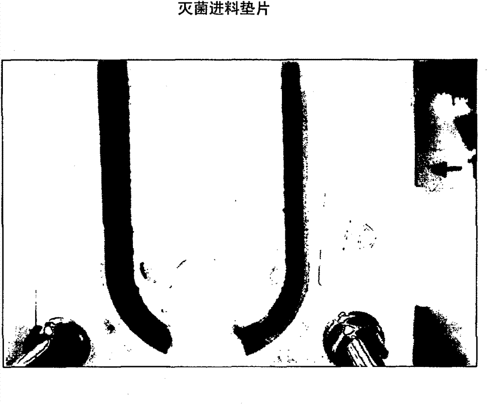 Cross-flow filtration apparatus with biocidal feed spacer