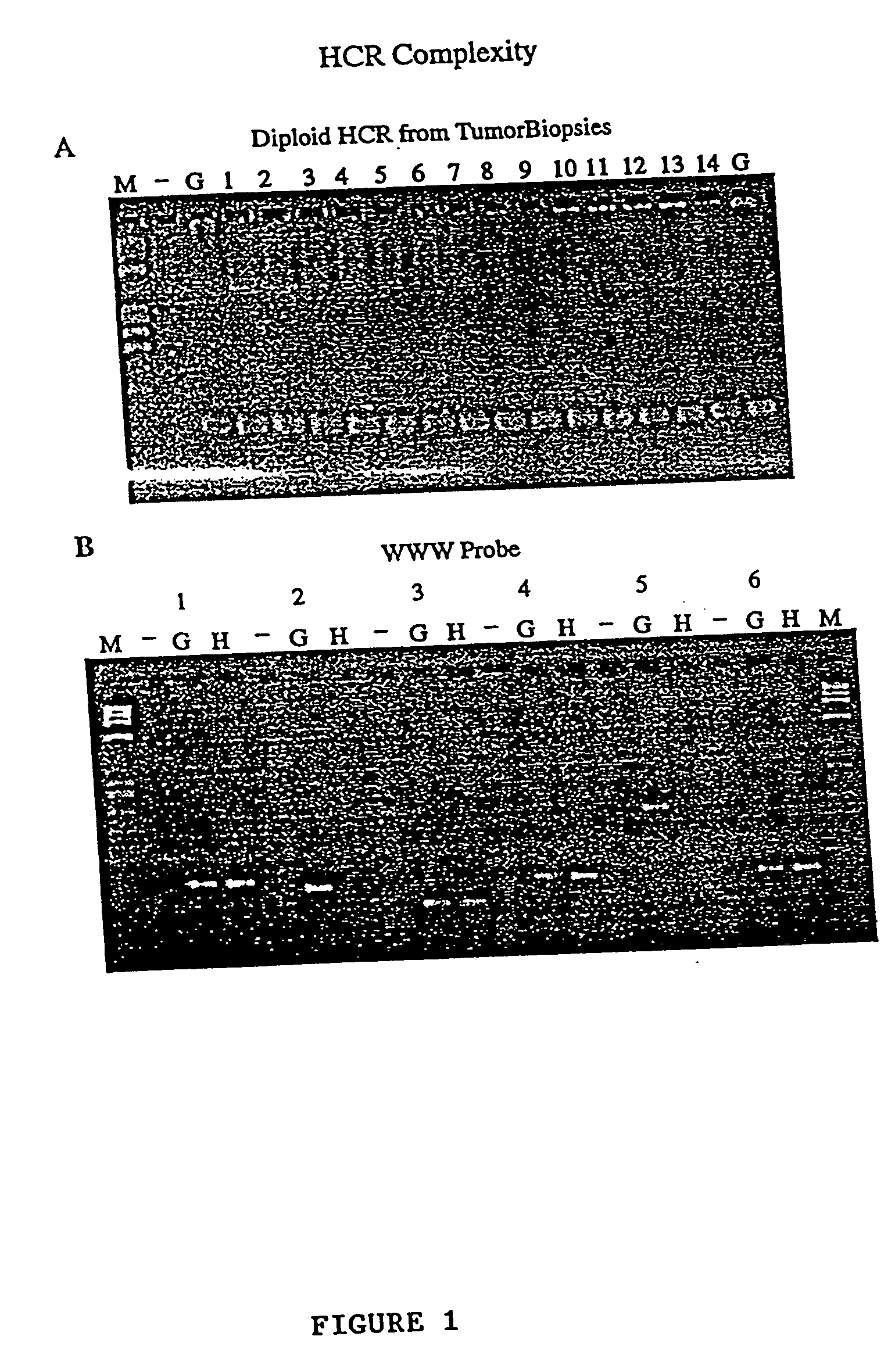 Use of representations of DNA for genetic analysis