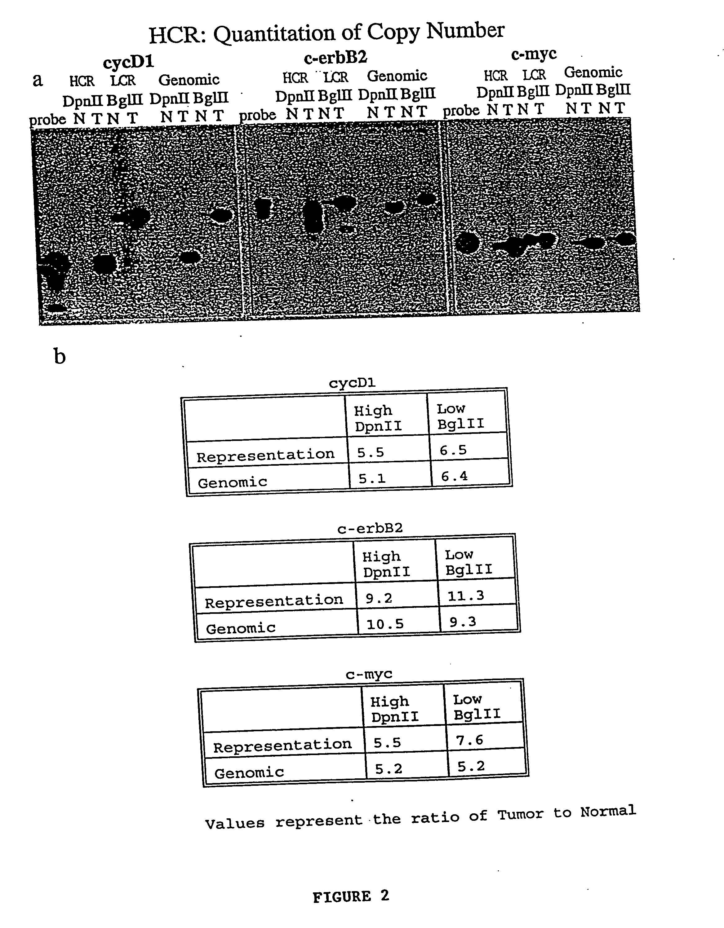 Use of representations of DNA for genetic analysis