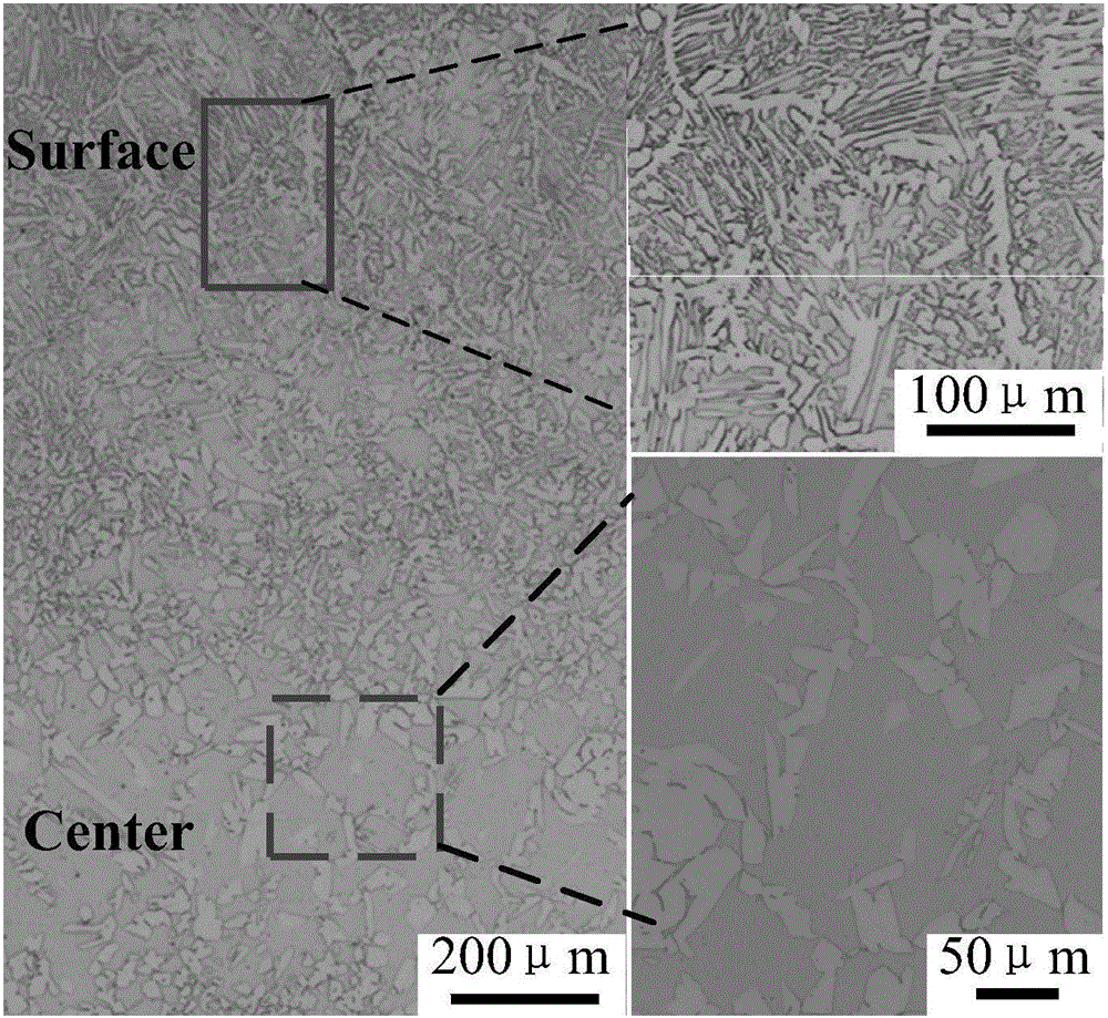 A duplex stainless steel thin strip and its near-net forming preparation method