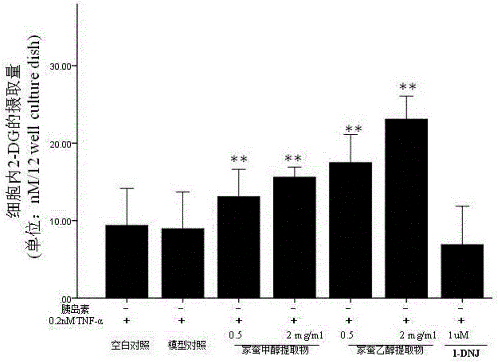 Bombyx mori extract and extraction method and application thereof