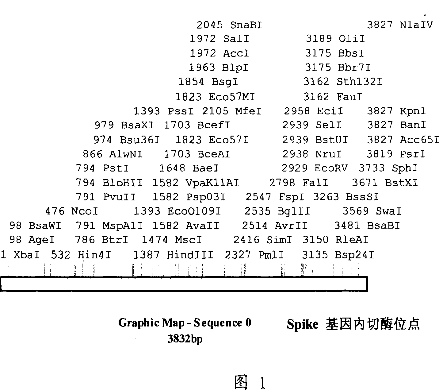 Coronal virus genetic engineering protein and use thereof