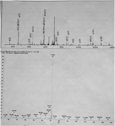 Preparation method of [Pyr1]-apelin-13