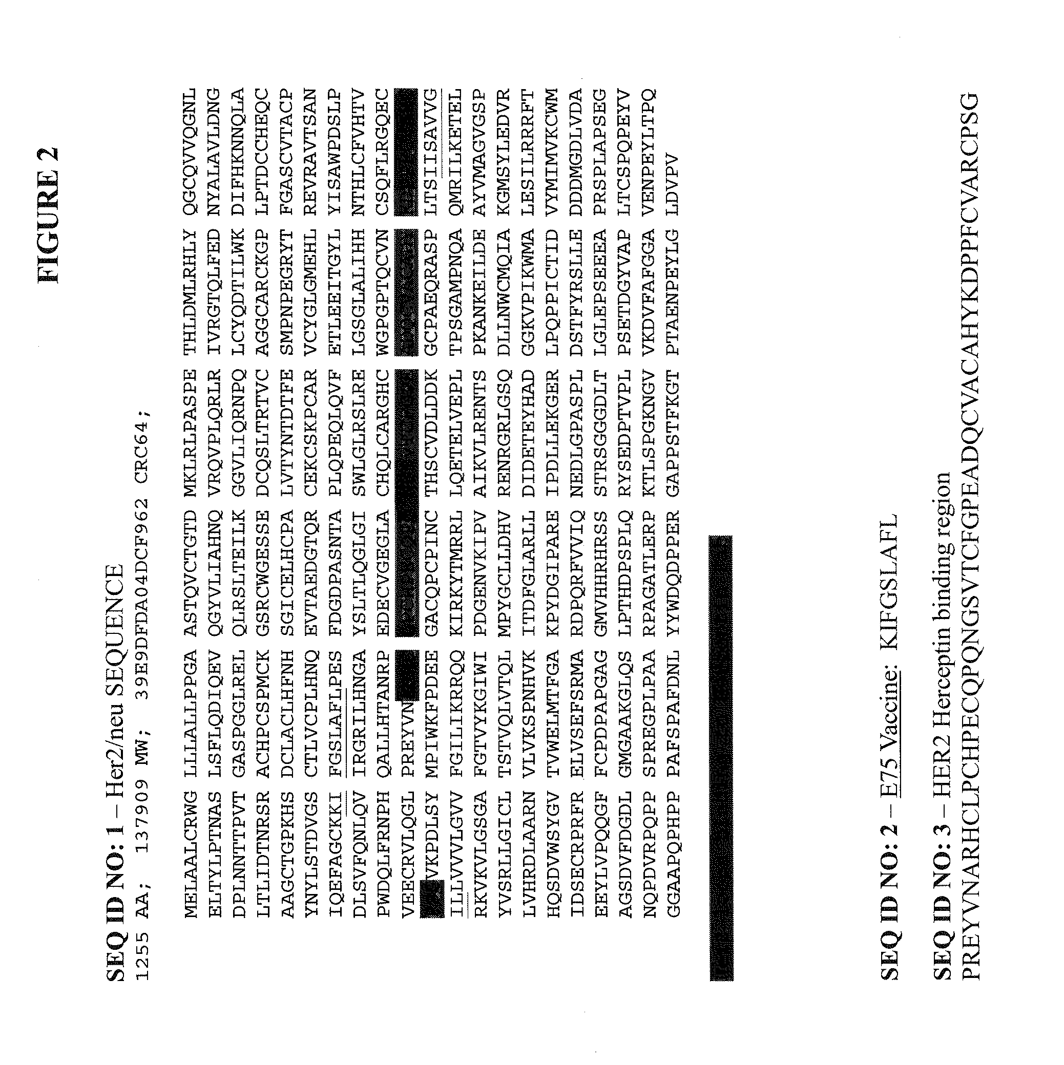 Targeted identification of immunogenic peptides