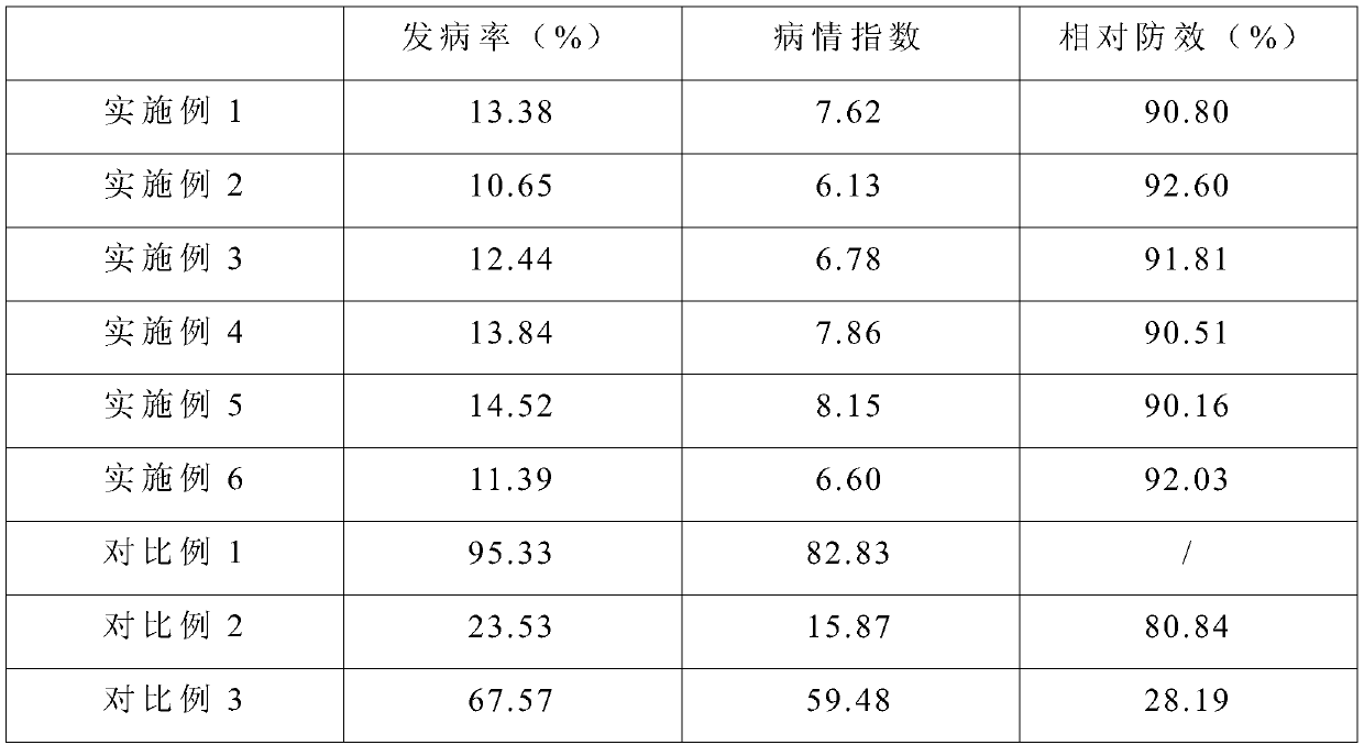 Biocontrol preparation for preventing and treating rice blast, and preparation method thereof