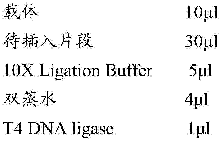 Vaccine composition and preparation method and application thereof