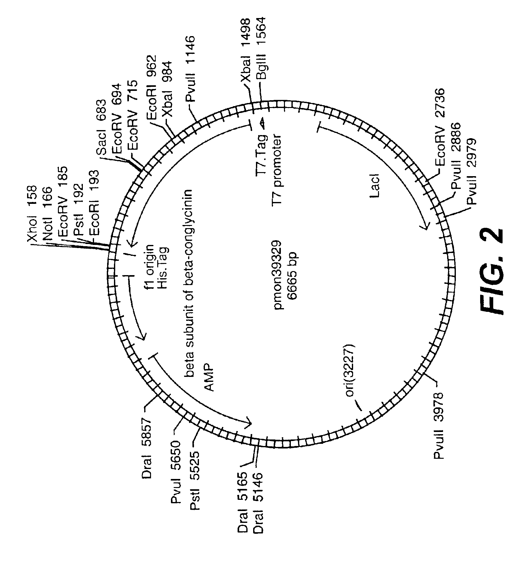 Enhanced proteins and methods for their use