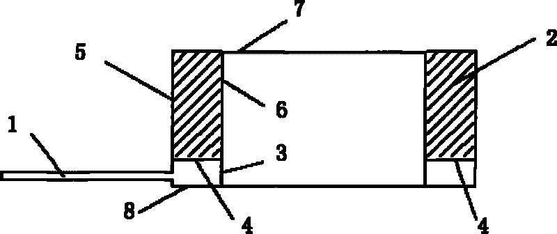 Argon protective device for ingot steel casting