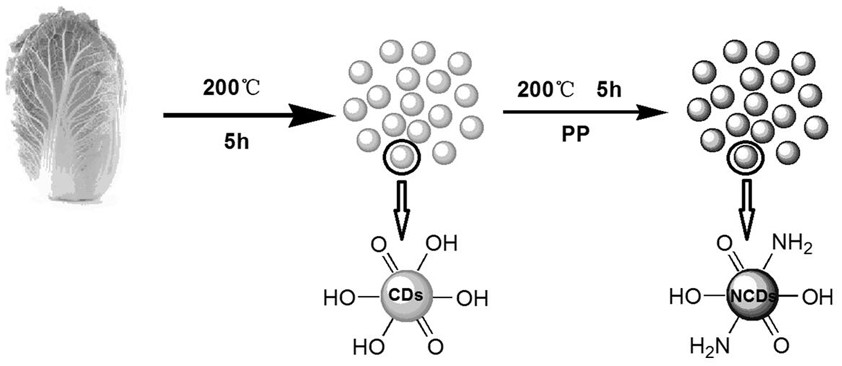 Functionalized inorganic fluorescent microsphere based on nitrogen-doped carbon quantum dots and preparation method thereof