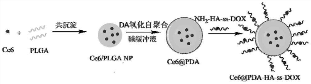 A kind of multi-functional targeted drug delivery system with combination effect of chemotherapy and phototherapy and preparation method thereof