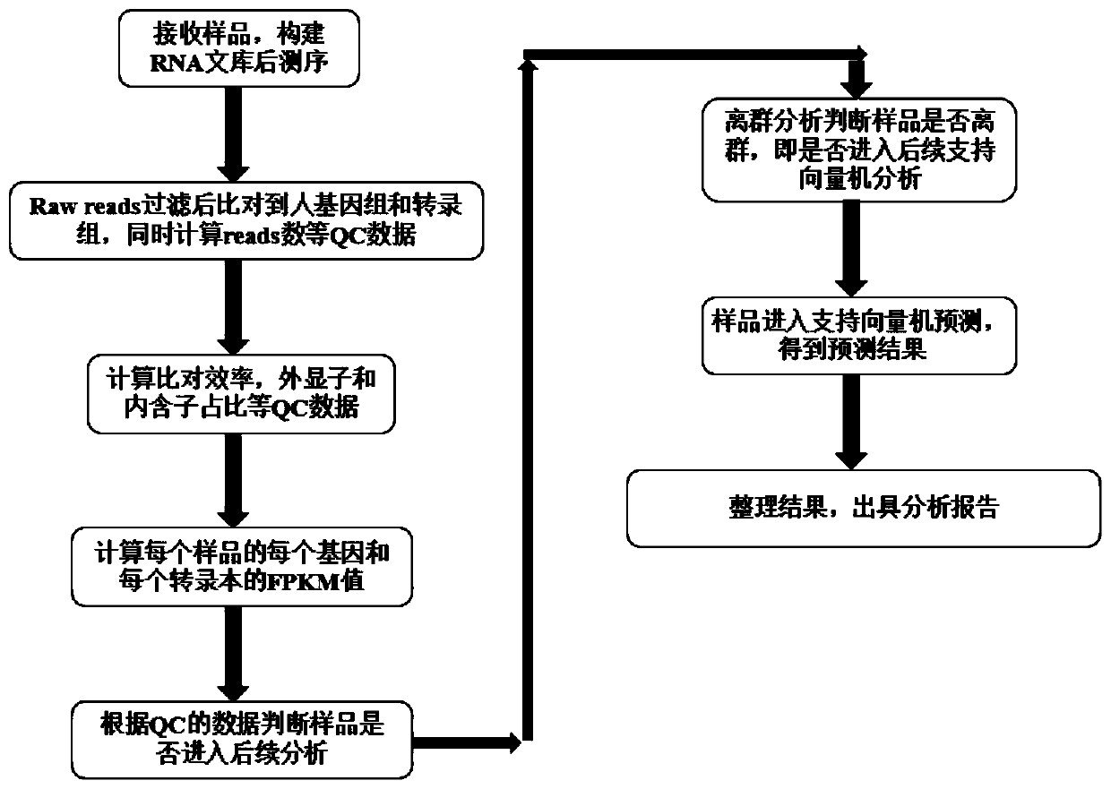 Method for judging endometrial receptivity and application thereof