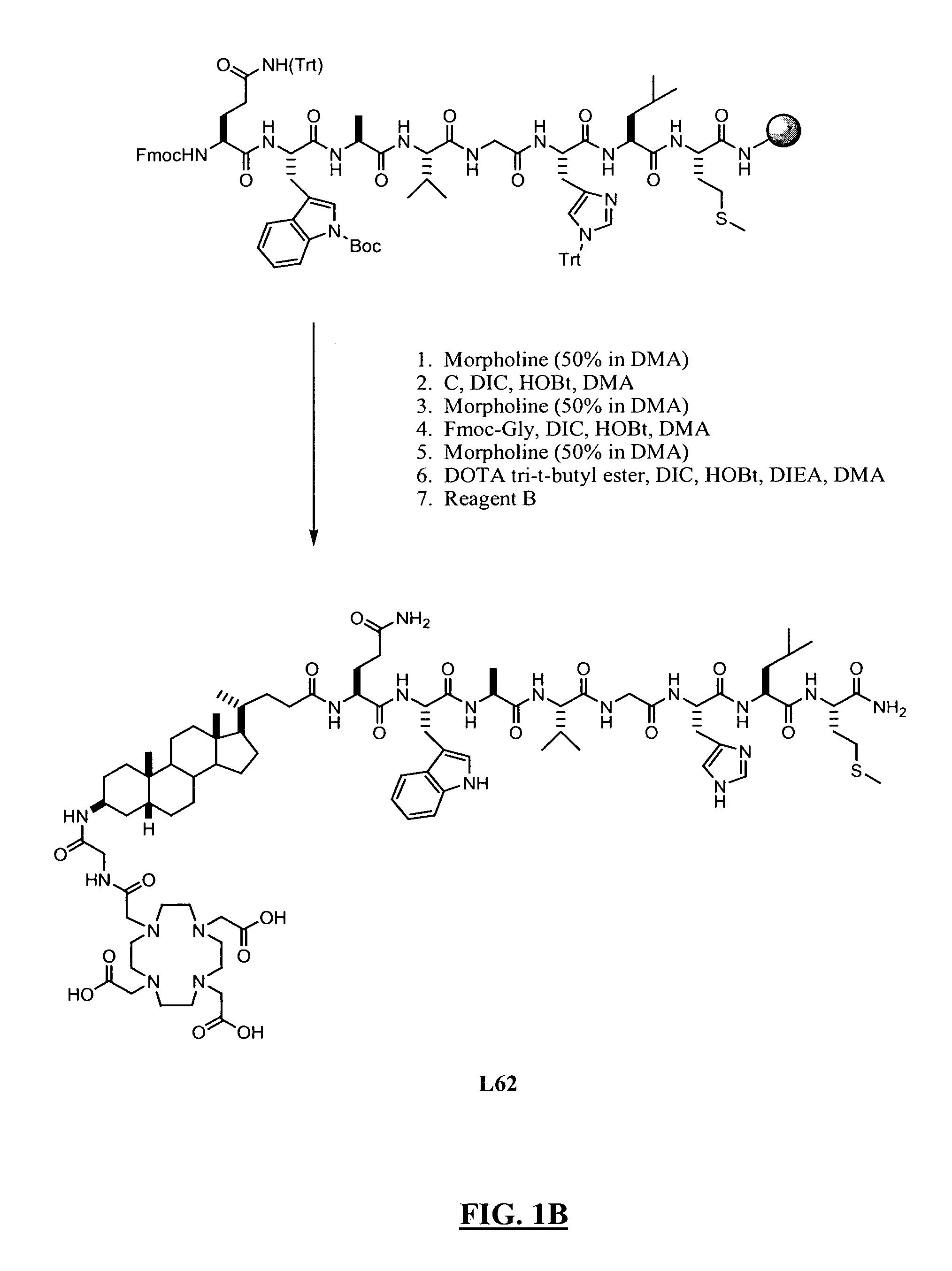 Gastrin releasing peptide compounds