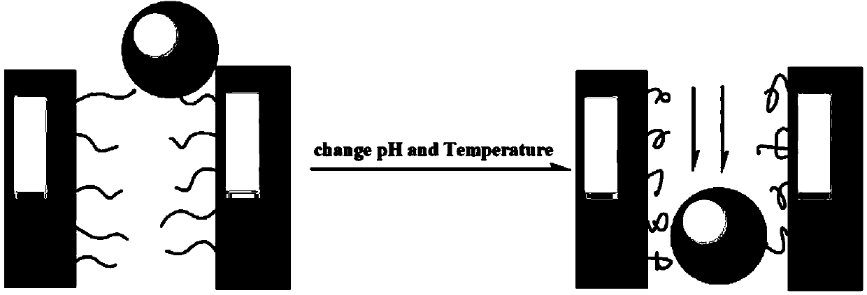 Polysulfone porous film in response to temperature and acidity, preparation method and application of polysuffone porous film