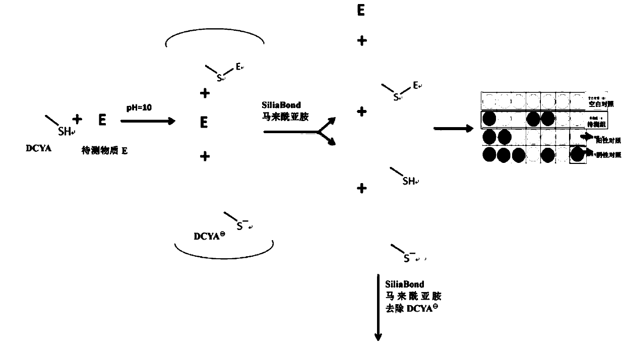 Method for in-vitro high-flux screening of skin allergens based on fluorescent chemical reaction system