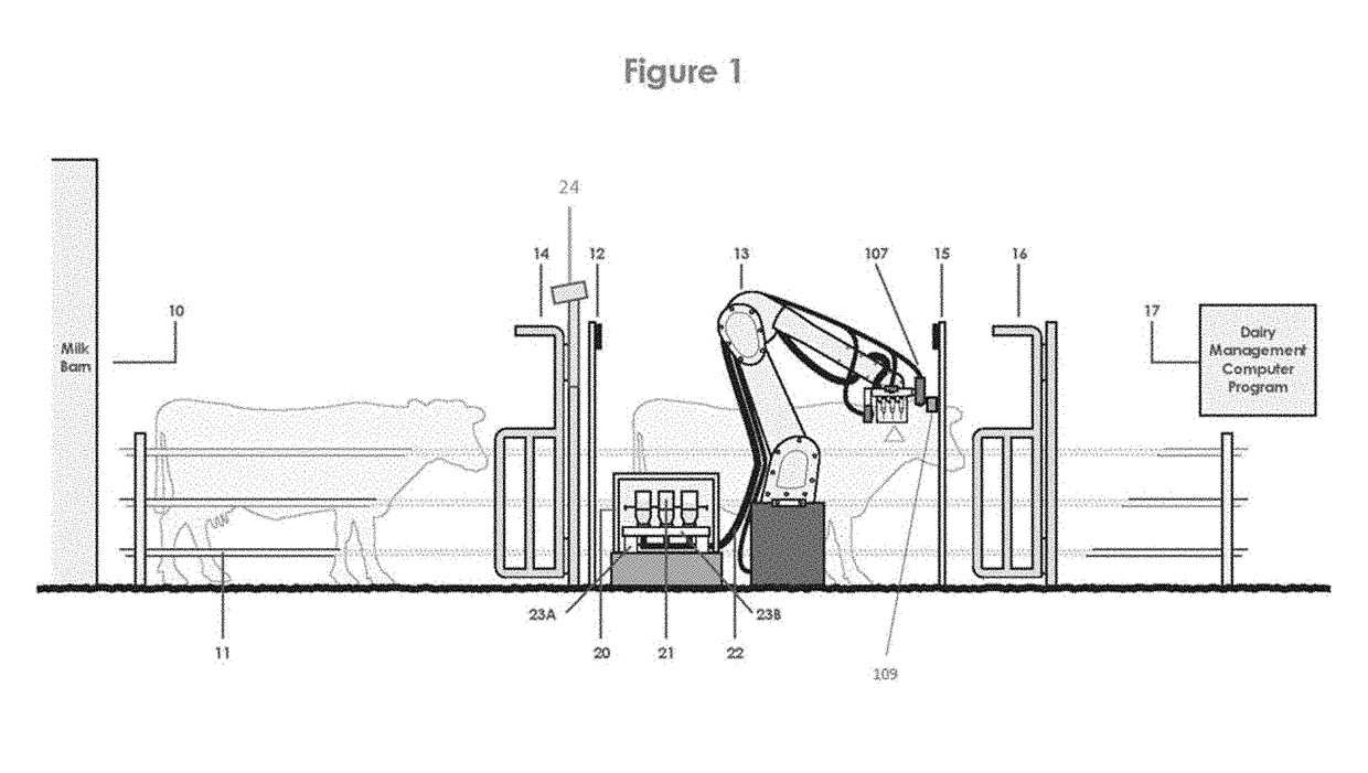 Robotic injection system for domestic herd animals