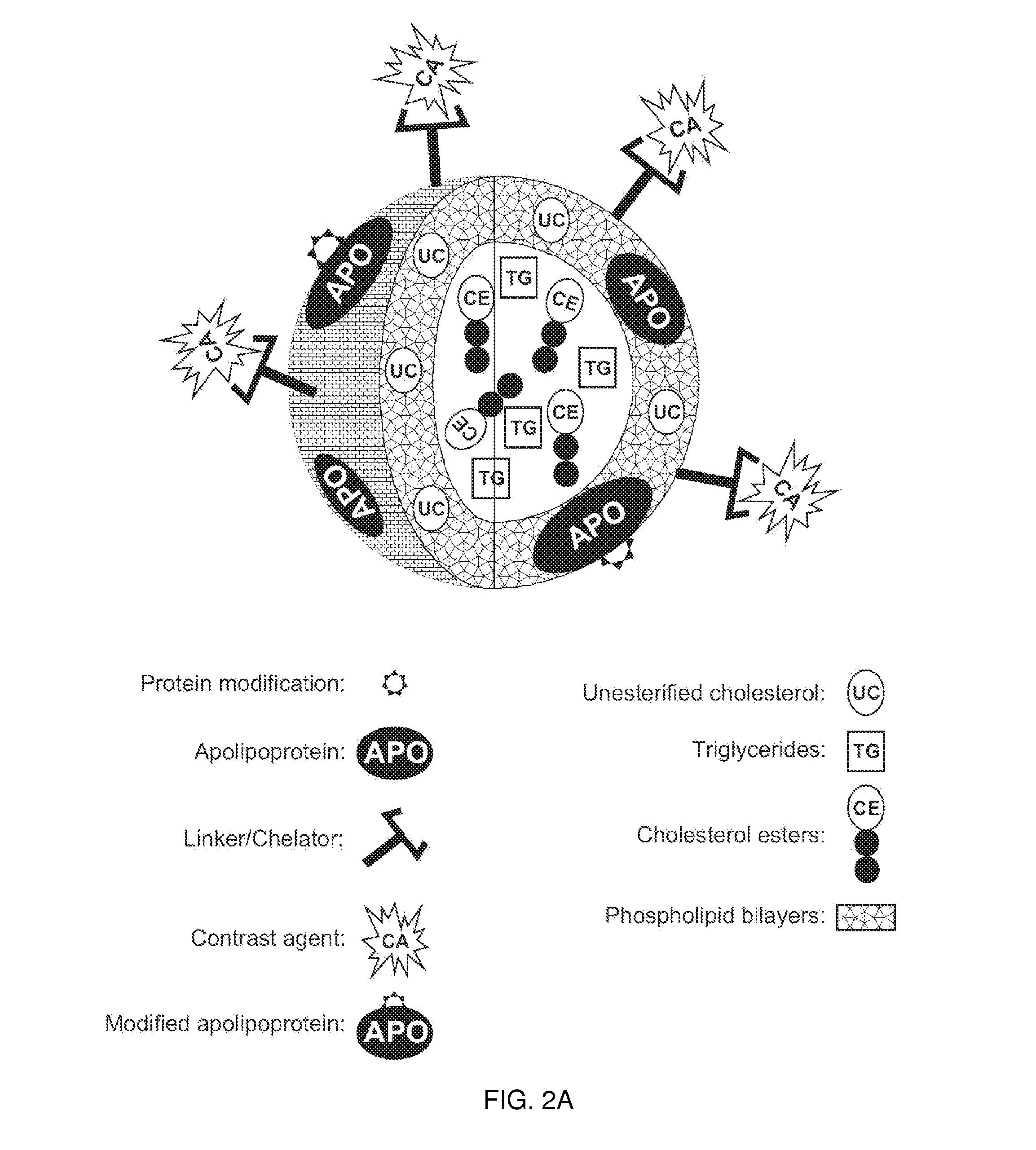 Methods and compositions for targeted imaging