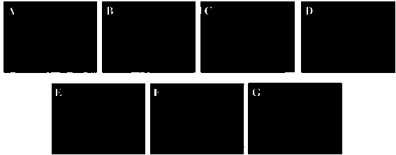 New medicinal application of effective components and derivatives thereof in Glycyrrhiza uralensis