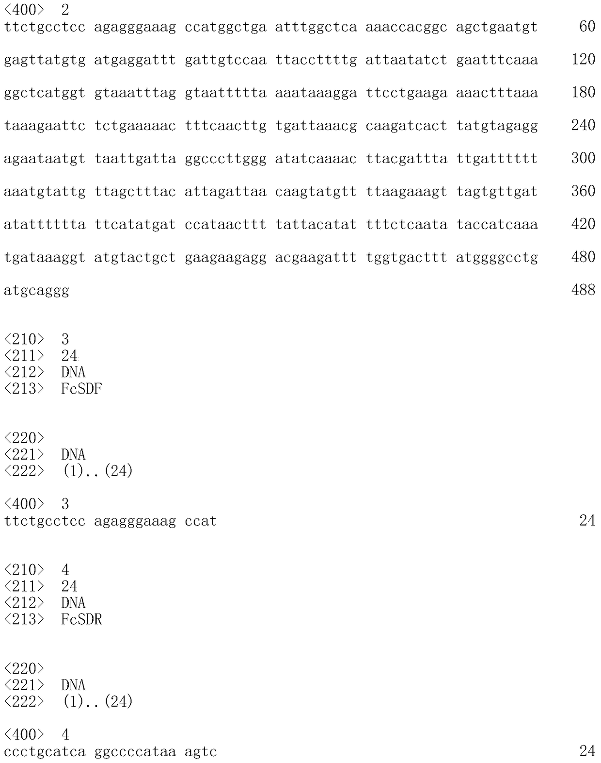 A dna sequence tag for identifying the genetic sex of Penaeus prawn and its application