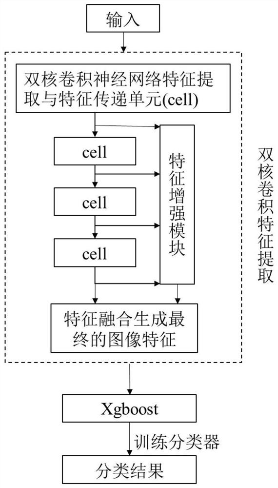 Electronic laryngoscope image classification method based on binuclear convolution feature extraction