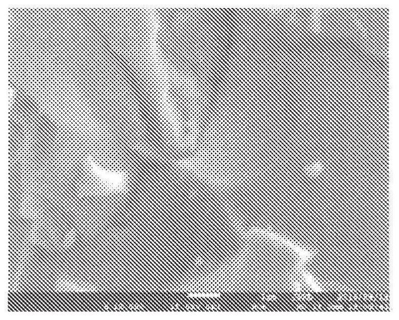 Hydrogen storage material, negative electrode and nickel hydrogen secondary battery