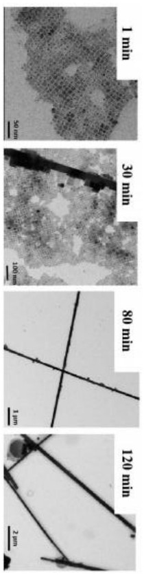 Perovskite nanocrystal with stable morphology at high temperature and preparation method thereof