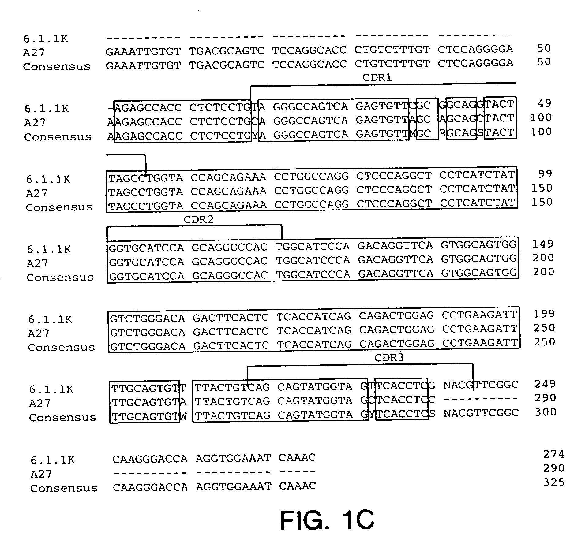 Antibodies to insulin-like growth factor I receptor