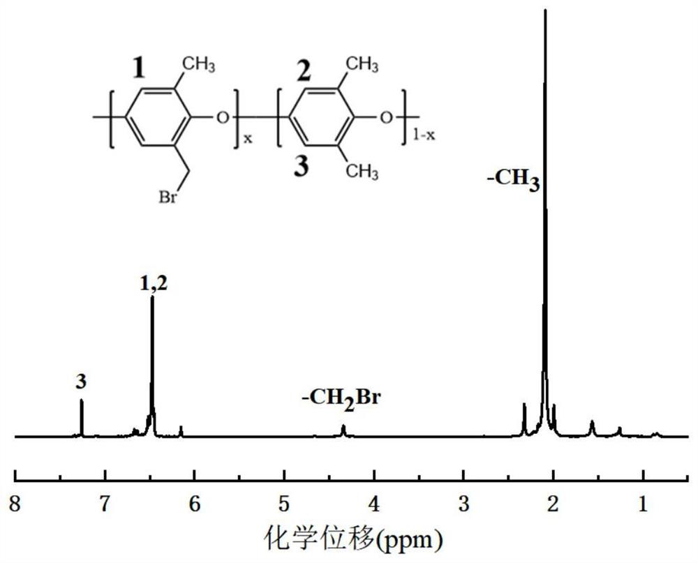 Polycation side chain type anion exchange membrane prepared based on soft template method and preparation method of polycation side chain type anion exchange membrane