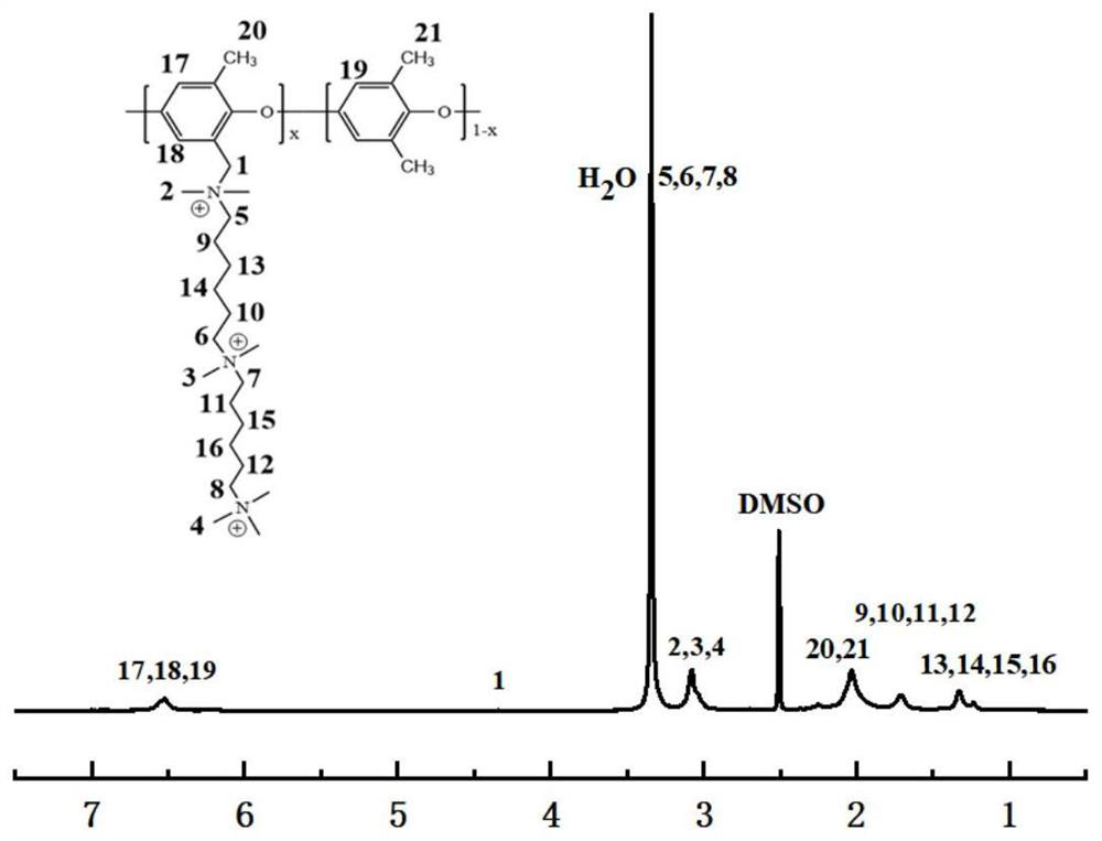 Polycation side chain type anion exchange membrane prepared based on soft template method and preparation method of polycation side chain type anion exchange membrane