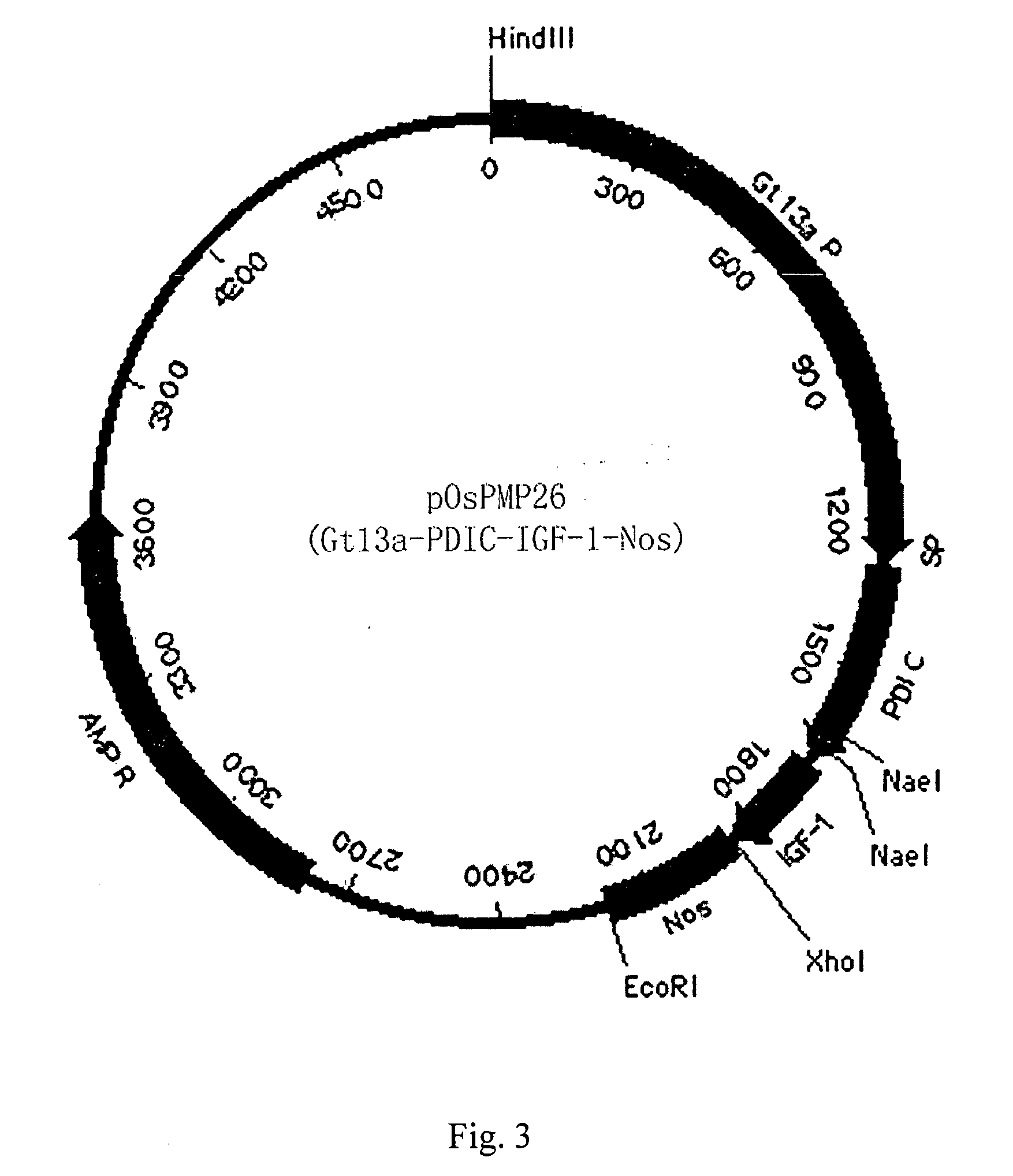 Method of expressing small peptides using cereal non-storage proteins as fusion carrier in endosperm and the use thereof