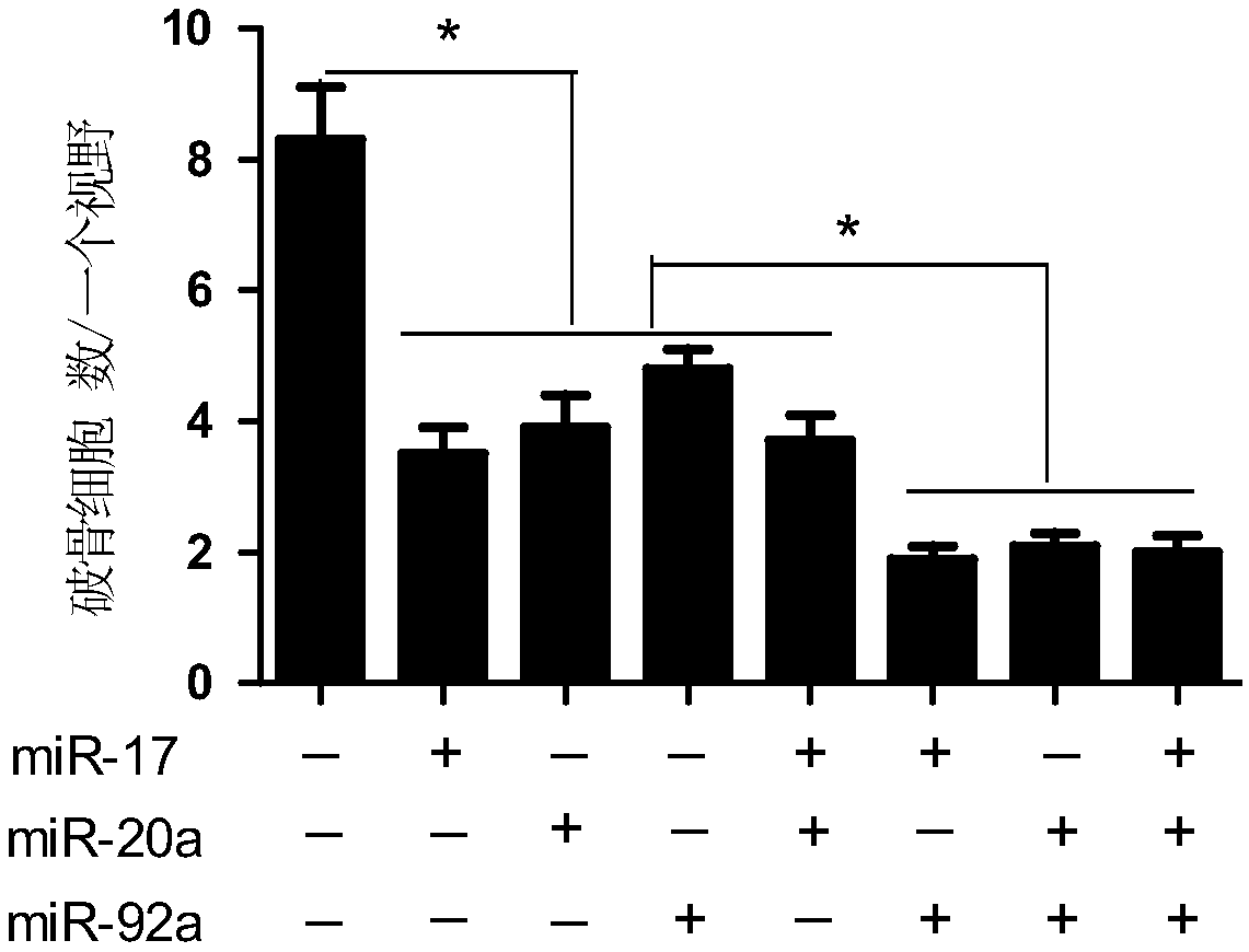 Application of microRNA